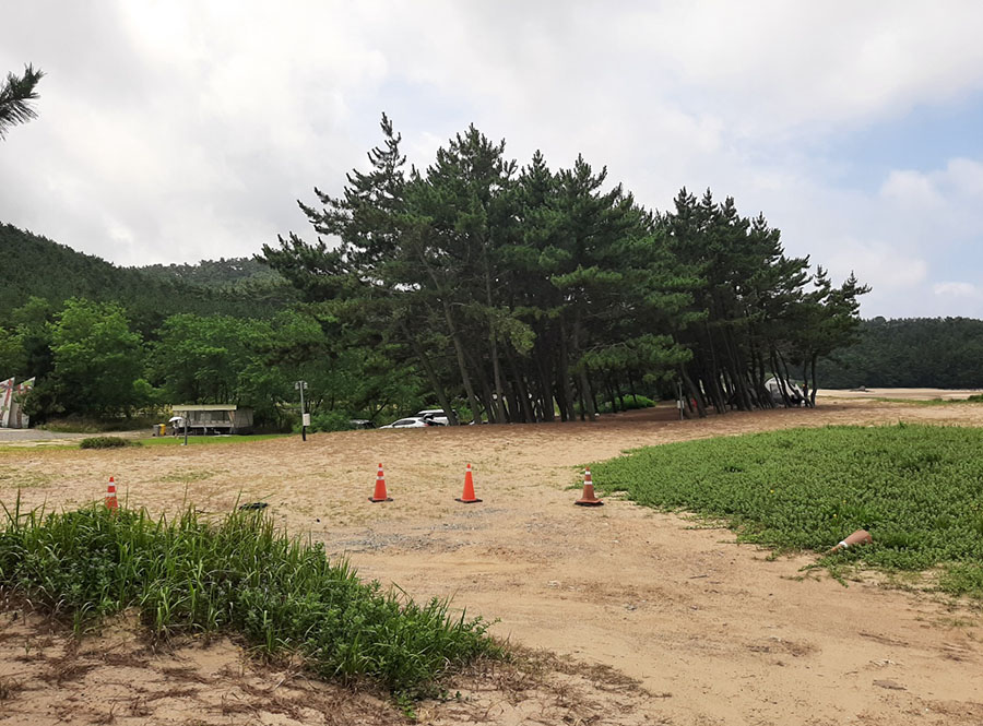 KakaoTalk_20260728_150239473.jpg