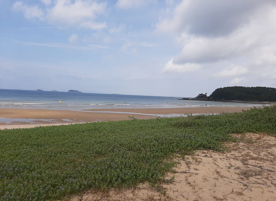 KakaoTalk_20260728_150142317.jpg
